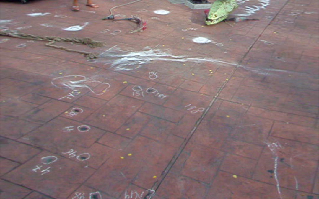 Crocodilo Celeste